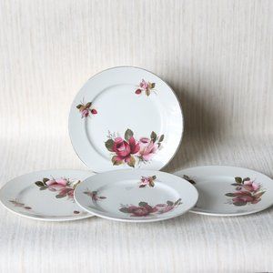 Crown Clarence Ironstone Floral Tea Plate Set of 4
